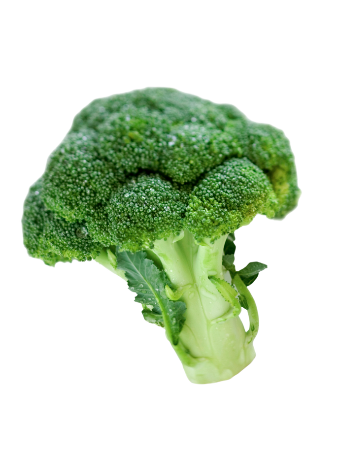 Brócoli ud