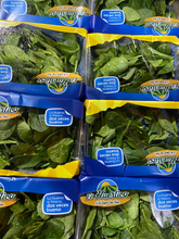 Cargar imagen en el visor de la galería, Espinaca Baby 250 g