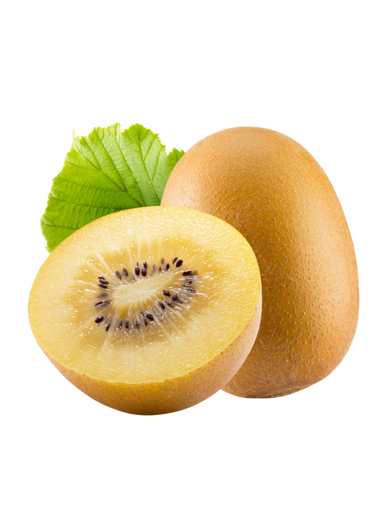 – Gold Jover Fruits Kiwi