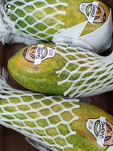 Load image in gallery viewer, Papaya