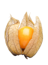 Cargar imagen en el visor de la galería, Physalis 50 g