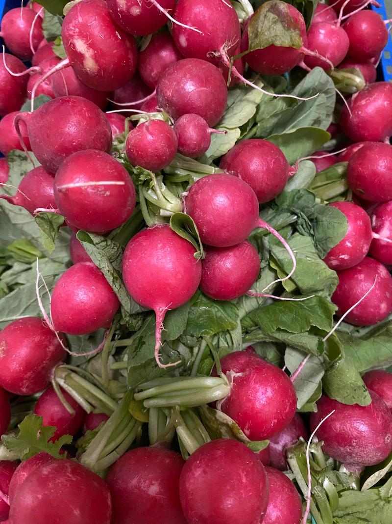 Fresh Red Radish, Bunch