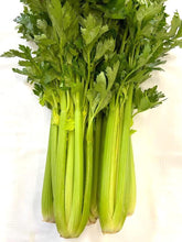 Load image in gallery viewer, Celery
