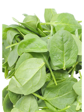 Load image in gallery viewer, Baby spinach 250g
