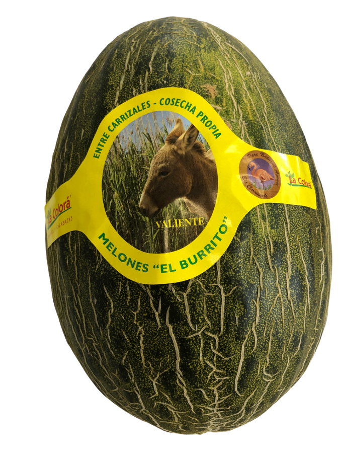 Melon 