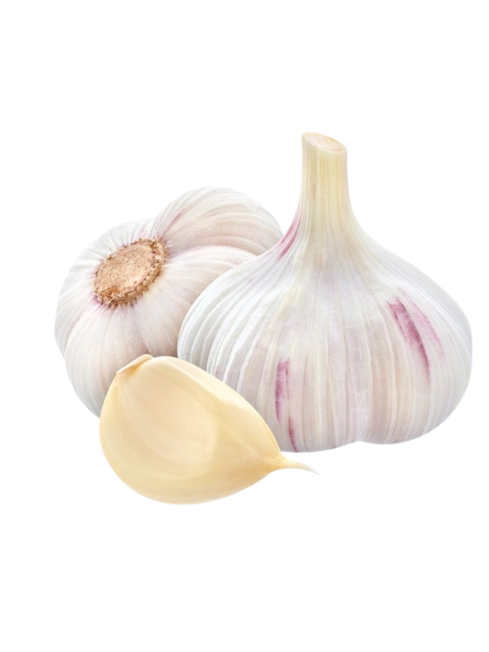 dried garlic