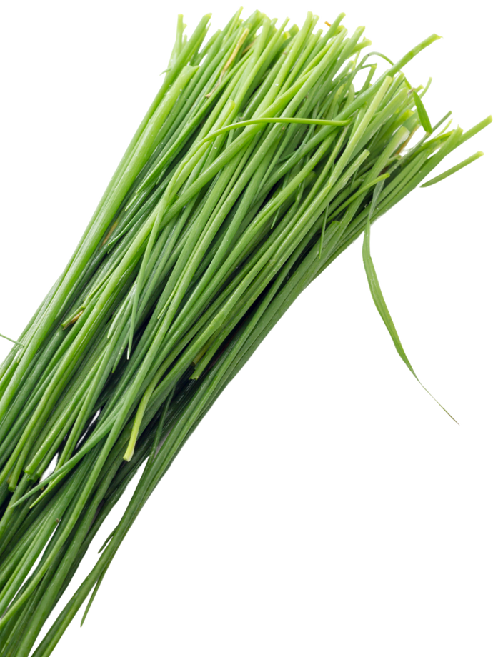 Chives tray 40 g