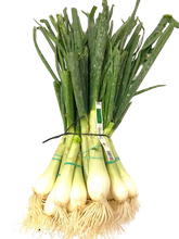 Load image in gallery viewer, spring onions

