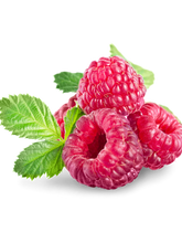 Cargar imagen en el visor de la galería, Frambuesas 50 g
