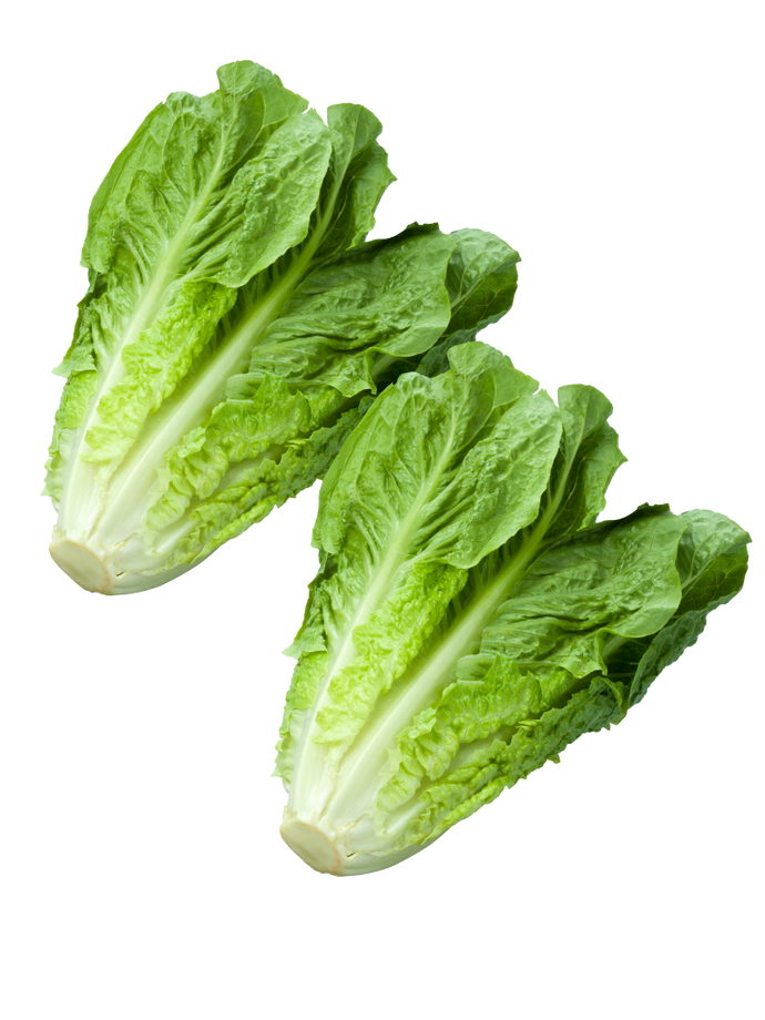 Romaine lettuce Pack 2 (clean)