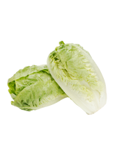 Load image in gallery viewer, Tudela lettuce
