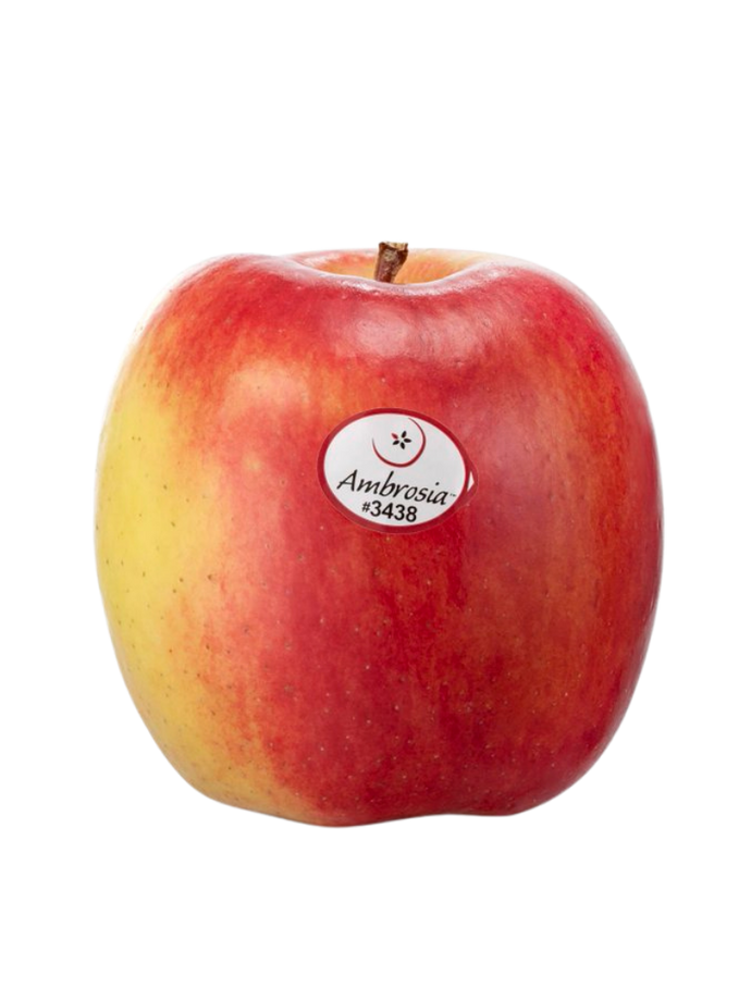 Manzana Ambrosia ud