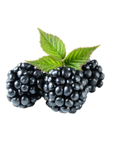 Load image in gallery viewer, Blackberries 50g
