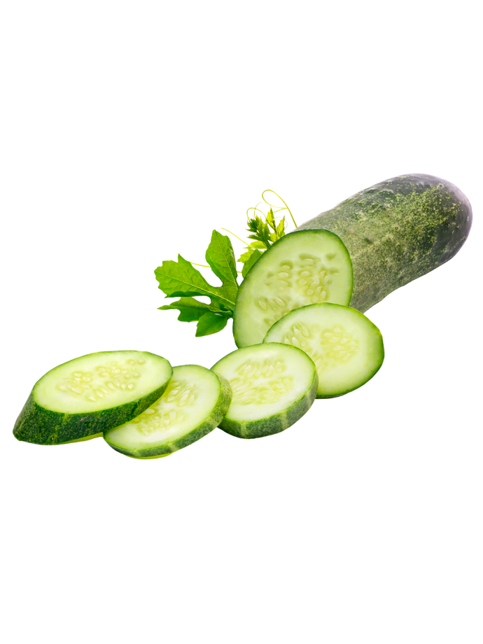 spanish cucumber