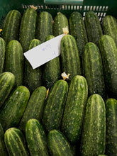 Load image in gallery viewer, spanish cucumber
