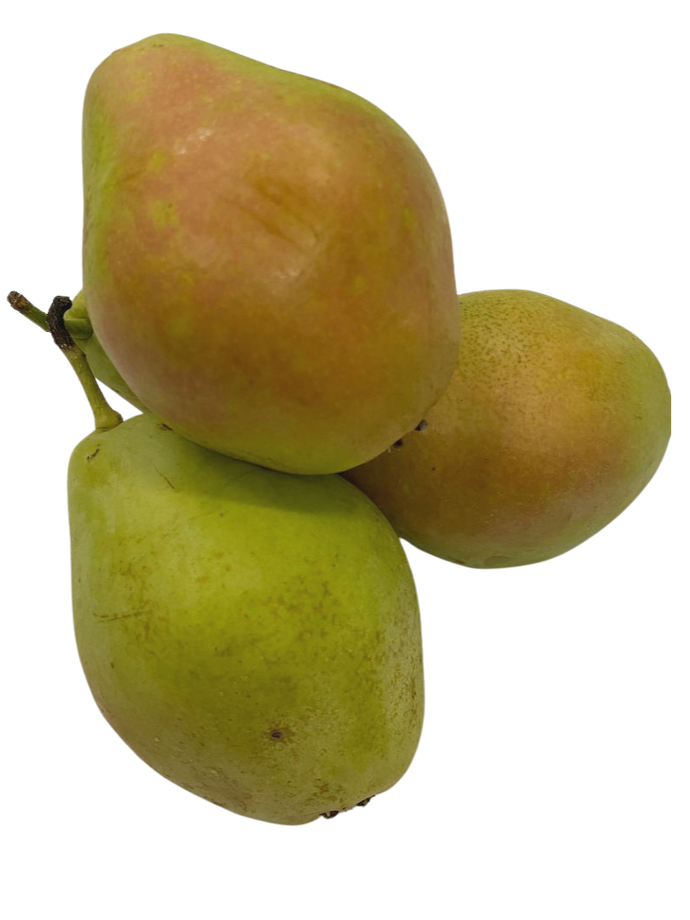 Pera Blanquilla