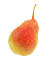 Load image in gallery viewer, Ercolina pear
