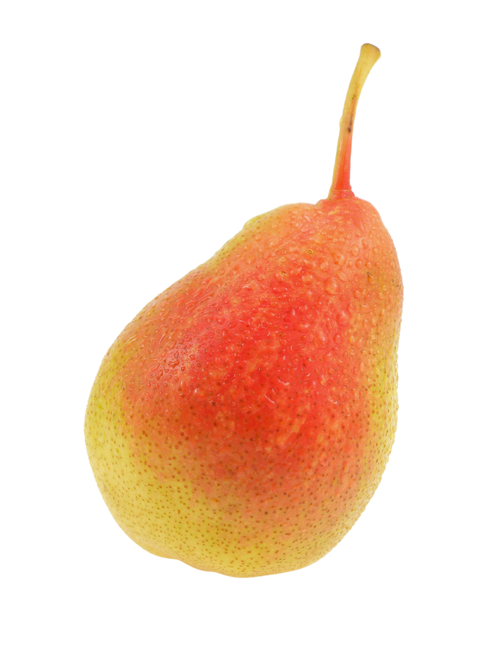 Ercolina pear