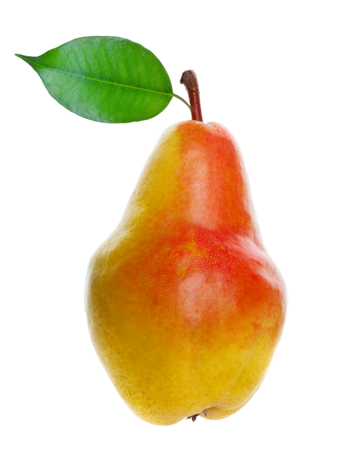 alexandrine pear