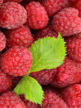 Cargar imagen en el visor de la galería, Frambuesas 50 g
