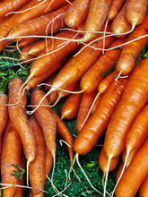 Load image in gallery viewer, Carrot-Charlotte
