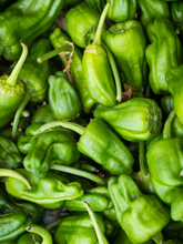 Load image in gallery viewer, Padron pepper
