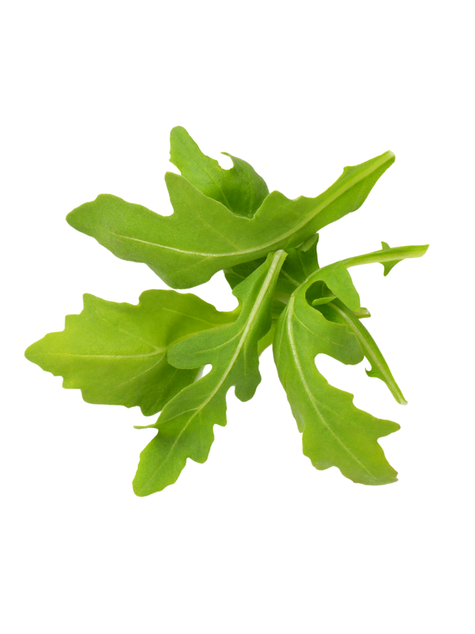 arugula leaves