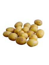 Load image in gallery viewer, Potato Mini
