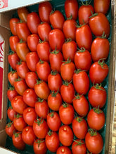 Load image in gallery viewer, pear tomato
