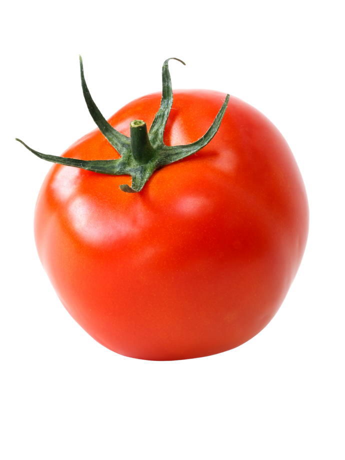 Tomato Daniela