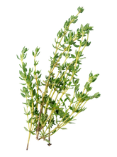 Load image in gallery viewer, Thyme
