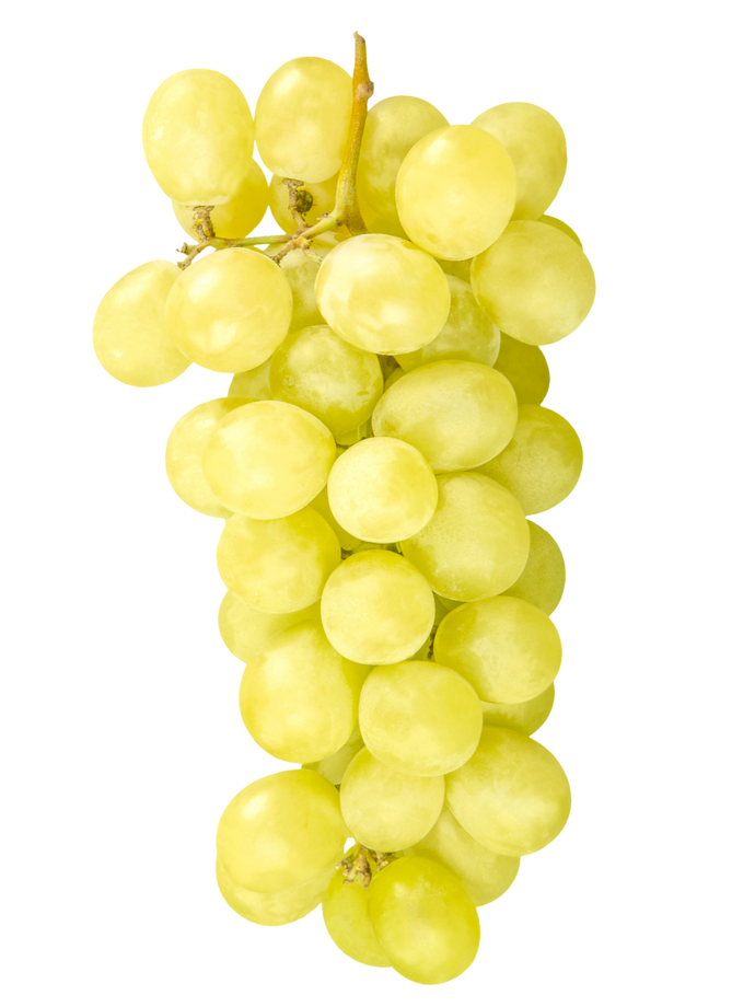 White grape