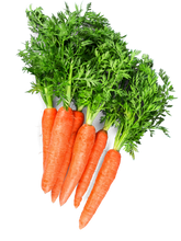 Load image in gallery viewer, Carrot-Charlotte
